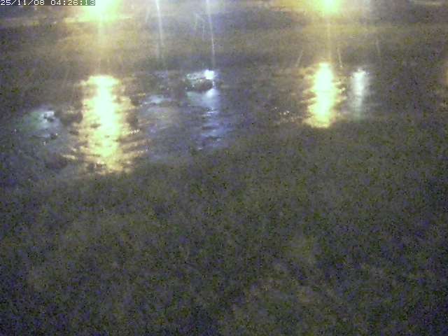 取得できませんでした