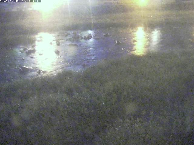 取得できませんでした