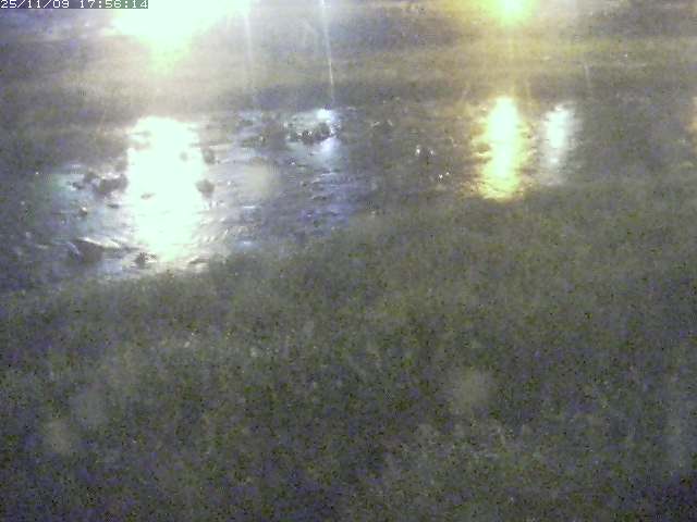 取得できませんでした