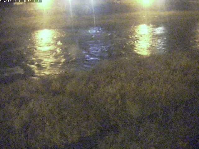 取得できませんでした