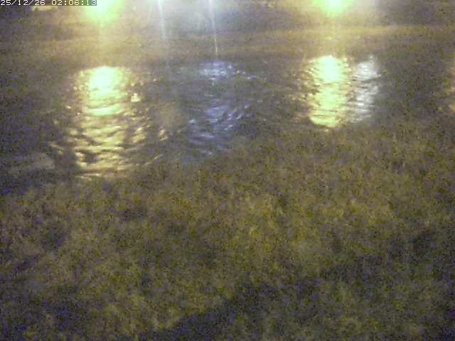 取得できませんでした