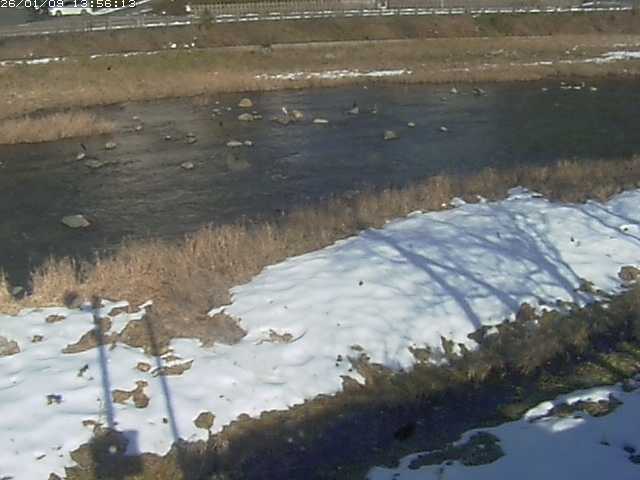 取得できませんでした