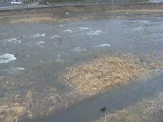 取得できませんでした