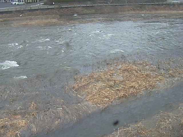 取得できませんでした