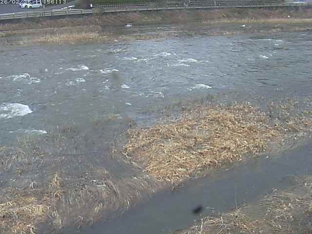 取得できませんでした
