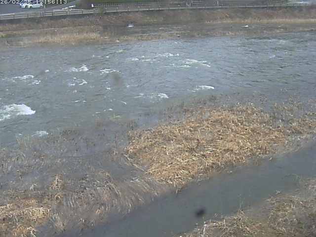 取得できませんでした