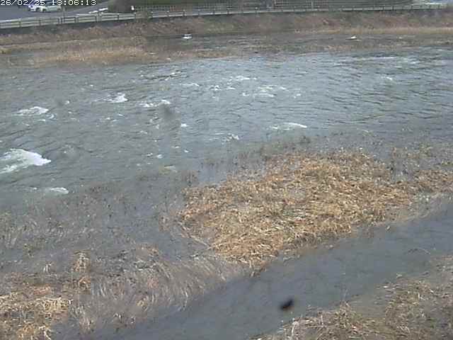 取得できませんでした