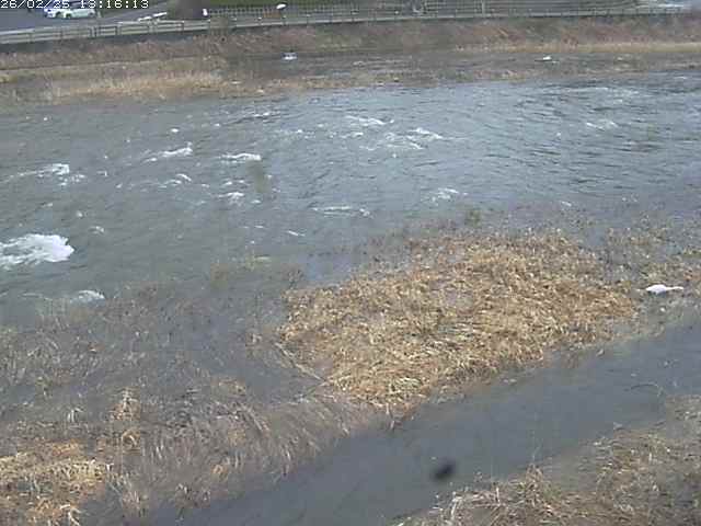 取得できませんでした