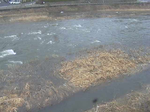 取得できませんでした