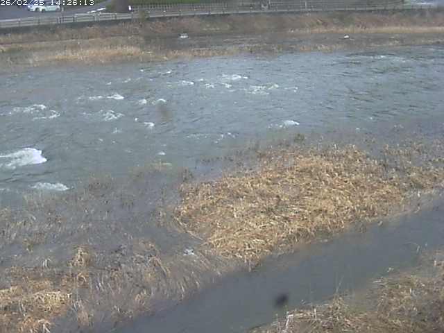 取得できませんでした