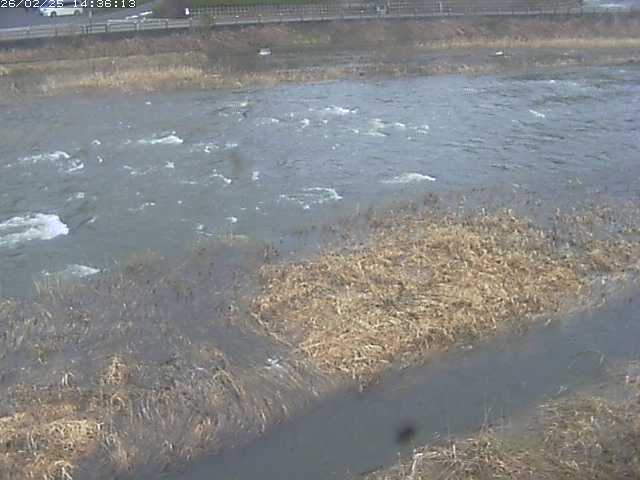 取得できませんでした