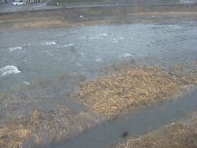 取得できませんでした