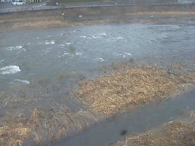 取得できませんでした