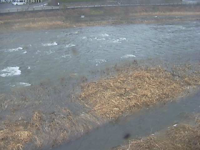 取得できませんでした