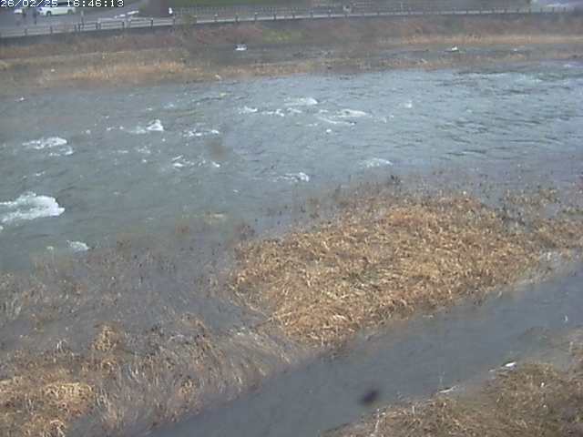 取得できませんでした