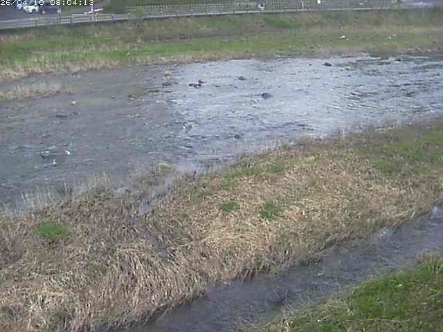 取得できませんでした