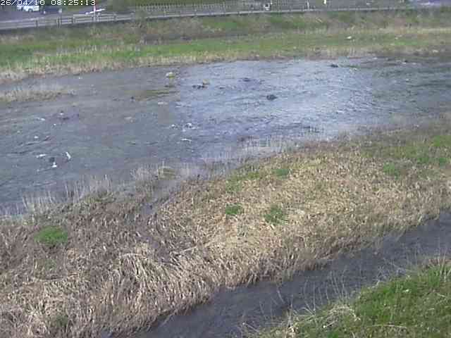 取得できませんでした