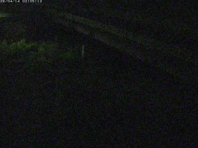 取得できませんでした