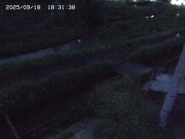 取得できませんでした