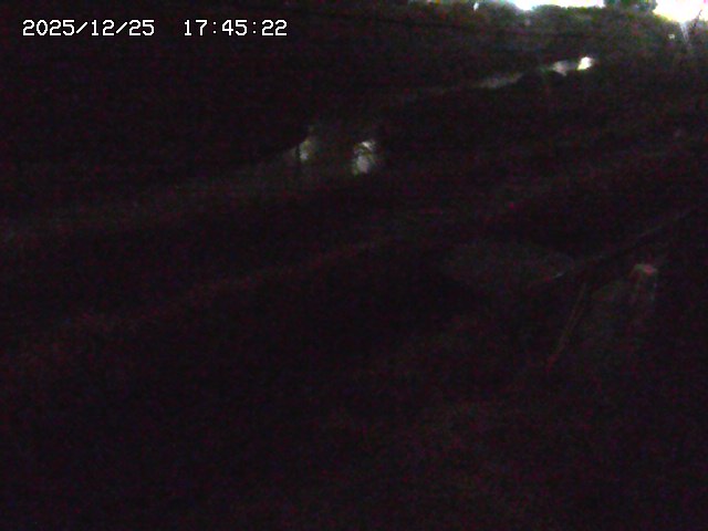 取得できませんでした