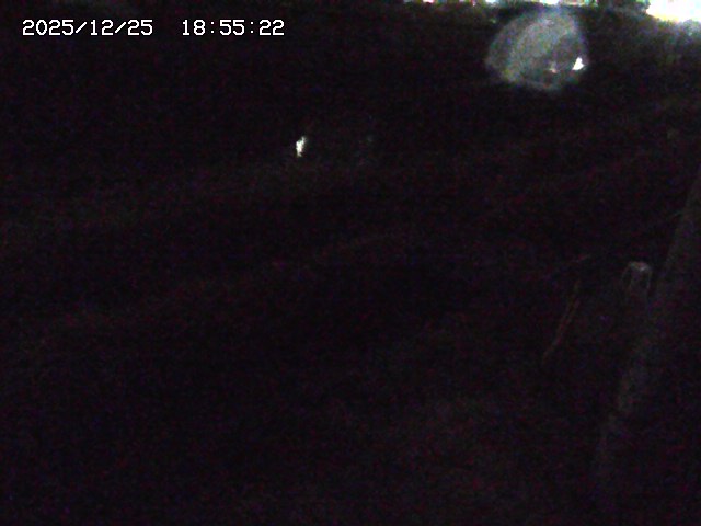 取得できませんでした