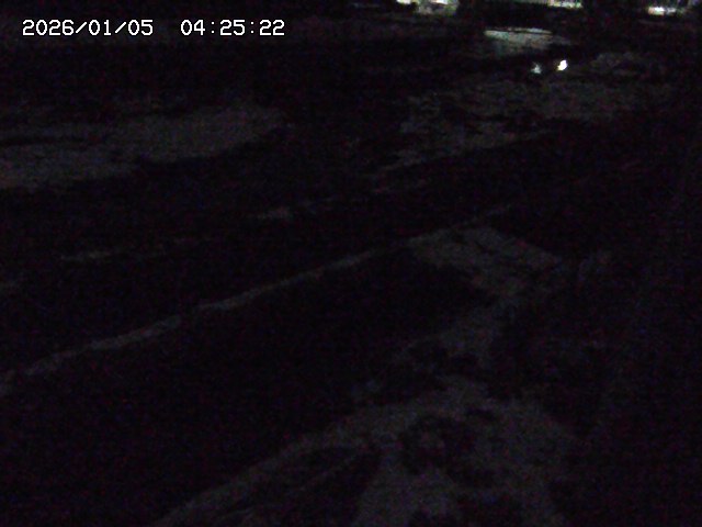 取得できませんでした