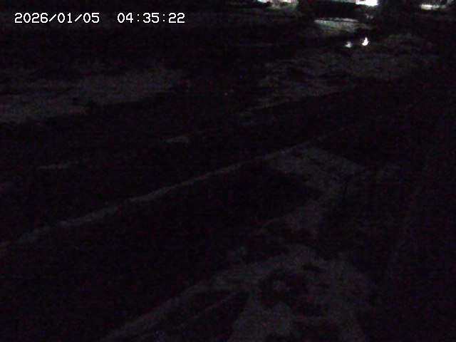 取得できませんでした