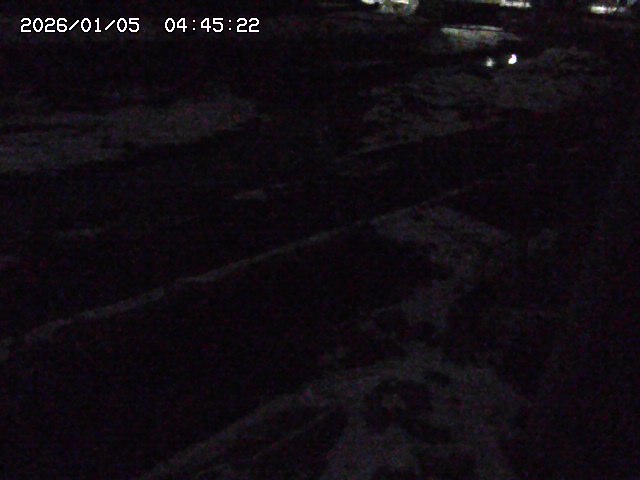 取得できませんでした