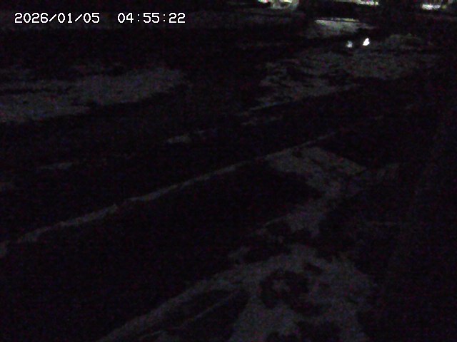 取得できませんでした