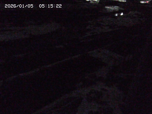 取得できませんでした