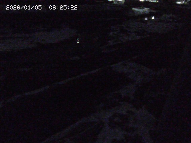 取得できませんでした