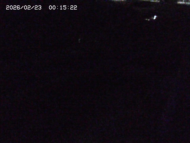 取得できませんでした