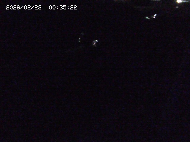 取得できませんでした