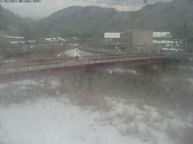 取得できませんでした