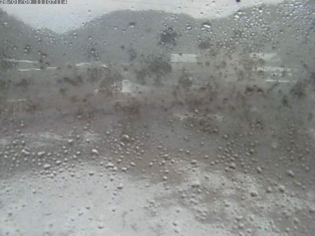 取得できませんでした