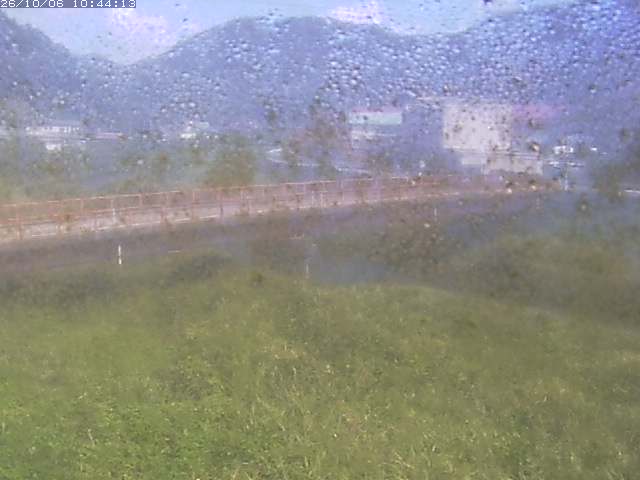 取得できませんでした