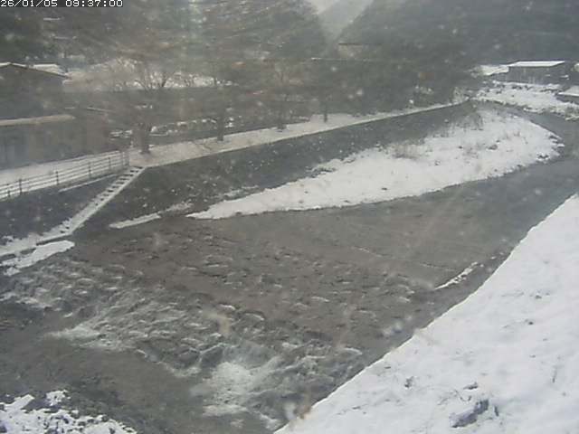 取得できませんでした