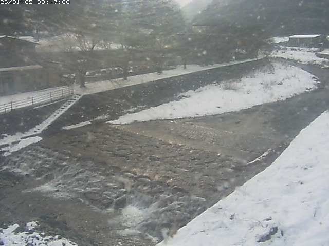 取得できませんでした