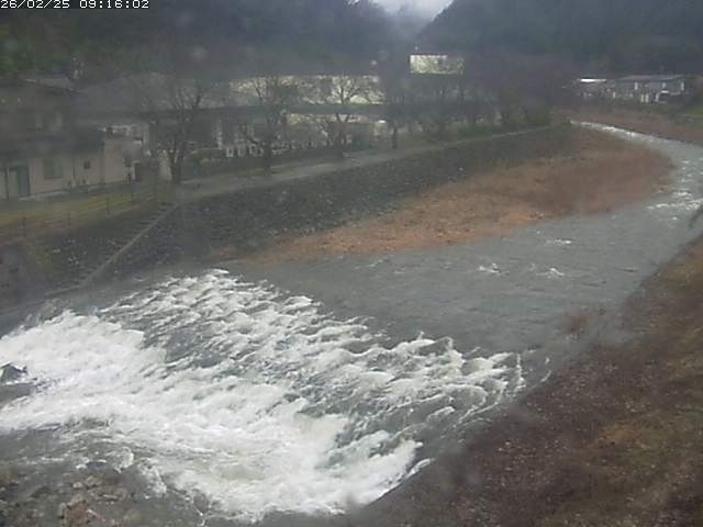 取得できませんでした