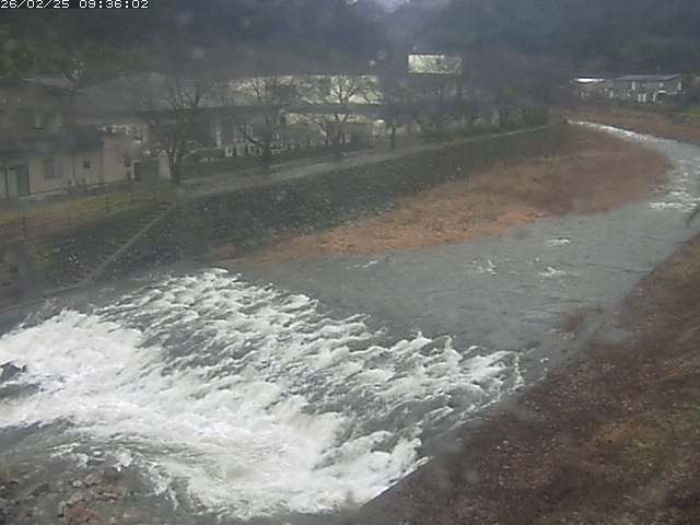 取得できませんでした