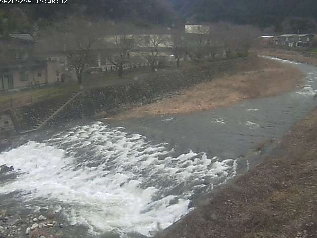 取得できませんでした