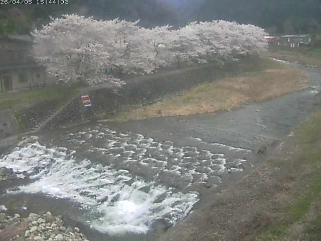 取得できませんでした