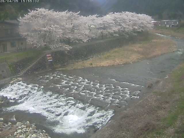 取得できませんでした