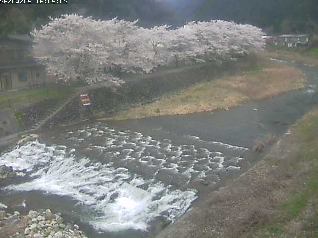 取得できませんでした