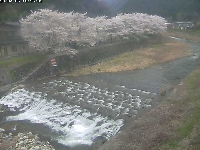 取得できませんでした