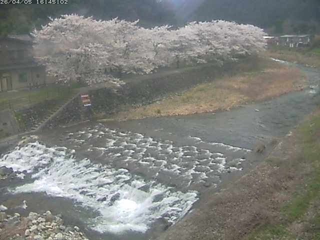 取得できませんでした