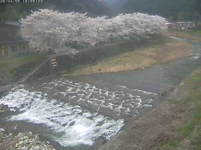 取得できませんでした