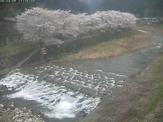 取得できませんでした