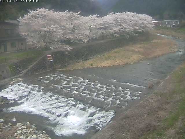 取得できませんでした