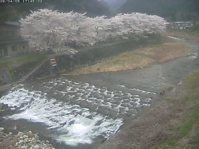 取得できませんでした